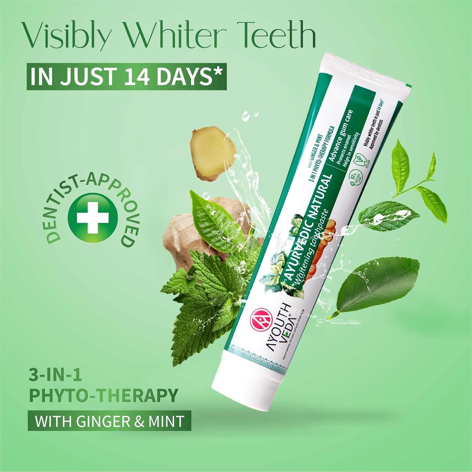 Ayouthveda Natural Whitening Toothpaste - 100g