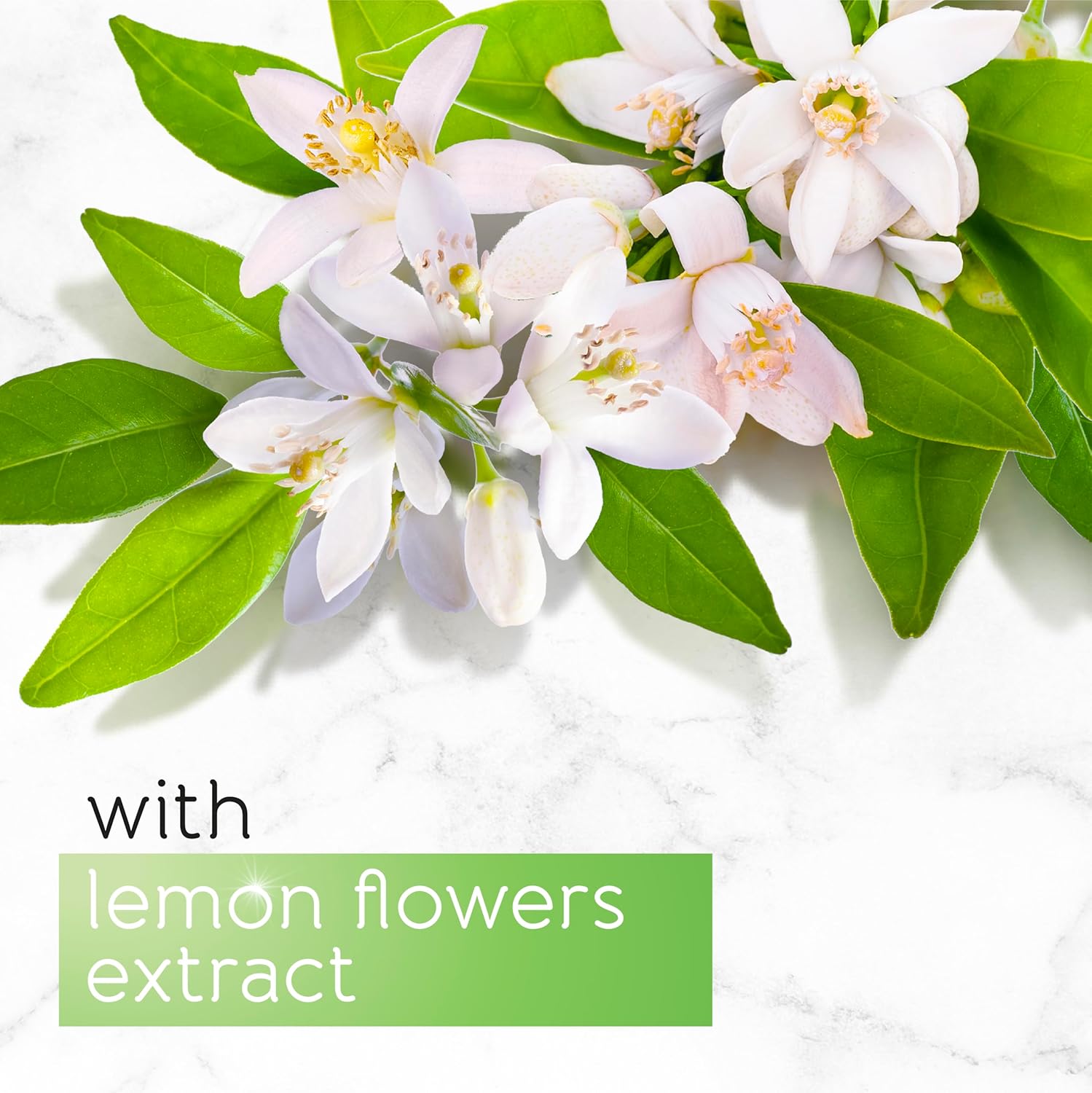 Pears Pure & Gentle Transparent Natural Soap Bar - Made with Lemon Flower Extracts, Nourishing and Refreshing Bathing Cleanser - 125g