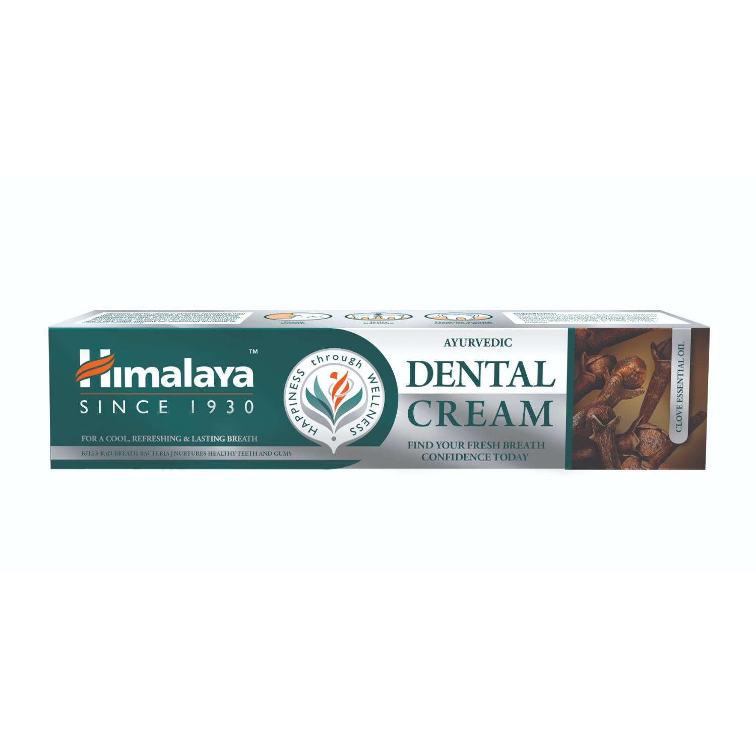 Himalaya Ayurvedic Dental Cream Herbal Toothpaste - Clove - 100g