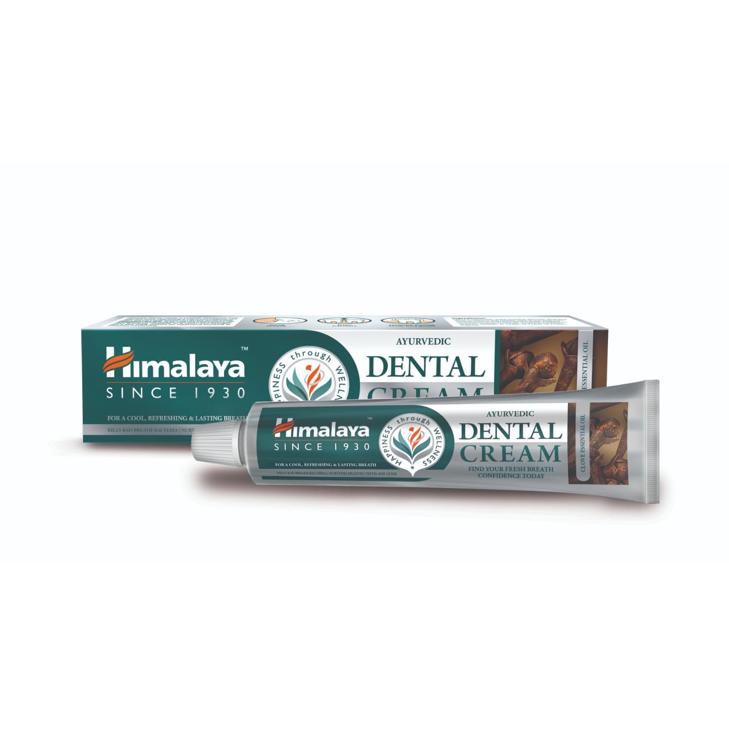 Himalaya Ayurvedic Dental Cream Herbal Toothpaste - Clove - 100g