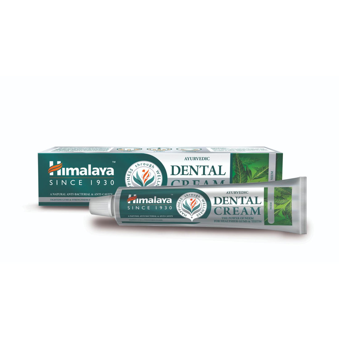 Himalaya Ayurvedic Dental Cream Herbal Toothpaste Neem - 100g