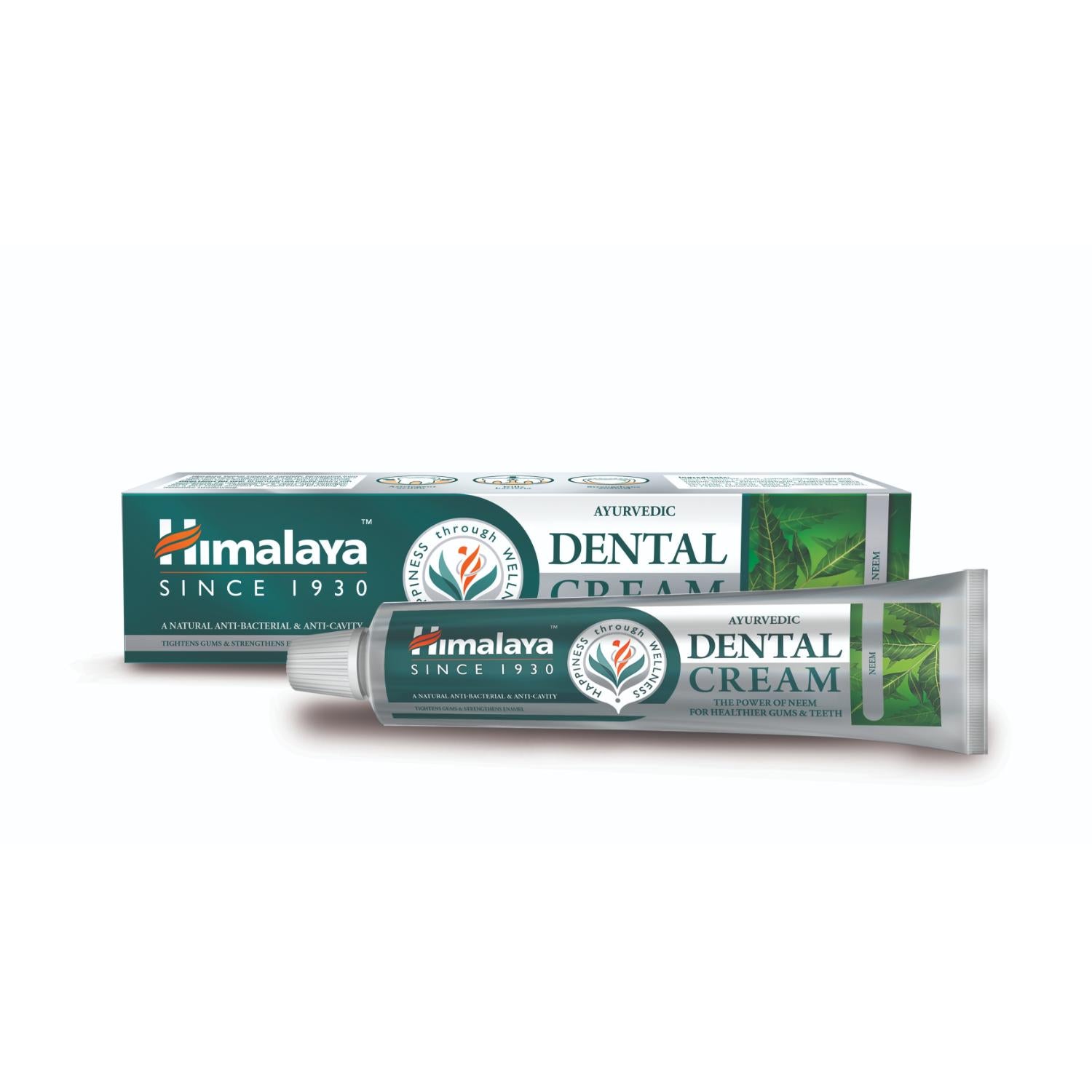 Himalaya Ayurvedic Dental Cream Herbal Toothpaste Neem - 100g