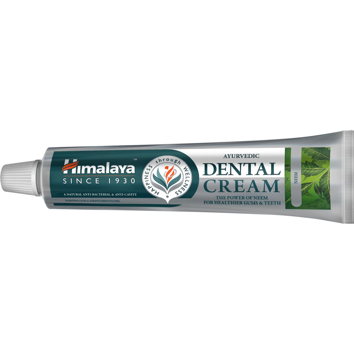 Himalaya Ayurvedic Dental Cream Herbal Toothpaste Neem - 100g