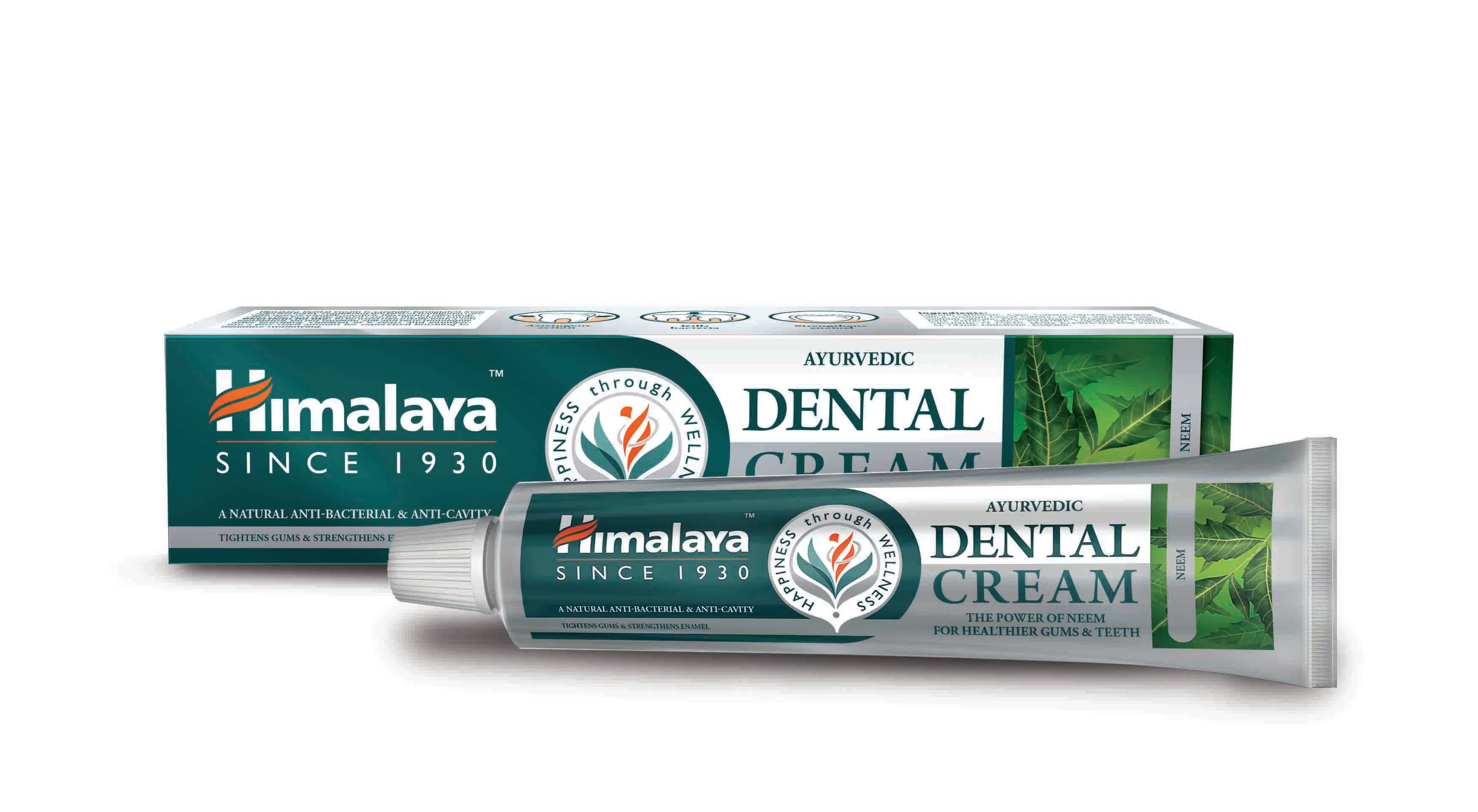 Himalaya Ayurvedic Dental Cream Herbal Toothpaste Neem - 100g