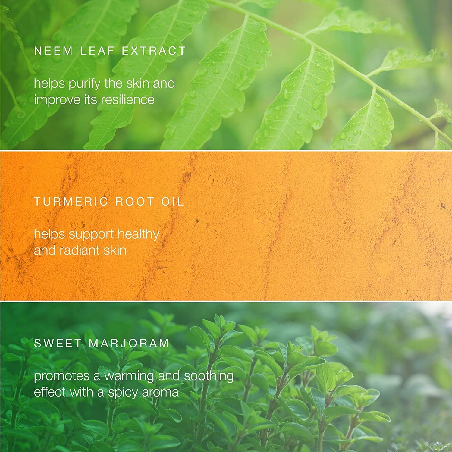 Botanique Neem & Turmeric Facewash 150ml