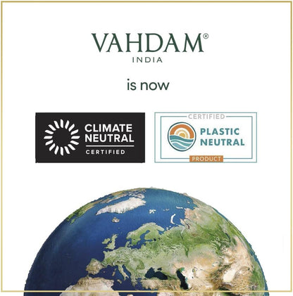 VAHDAM Pure Mint Herbal Tea (15 Pyramid Tea Bags) Caffeine Free, Non GMO, Gluten Free - Blend of Spearmint &amp; Peppermint - Sweet &amp; Minty - Resealable Ziplock Pouch