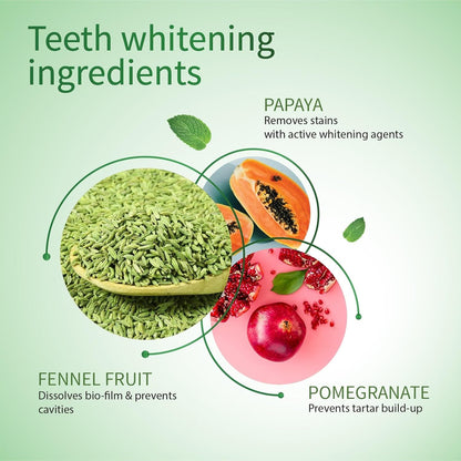 Ayouthveda Natural Whitening Toothpaste - 100g