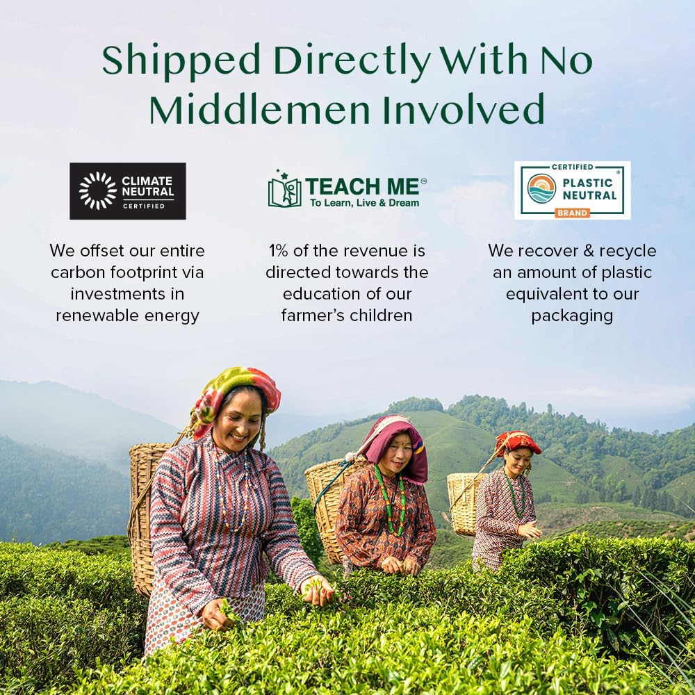 VAHDAM Pure Mint Herbal Tea (15 Pyramid Tea Bags) Caffeine Free, Non GMO, Gluten Free - Blend of 100% Natural Ingredients- Peppermint Tea, Spearmint Tea - Mint Tea Bags - Resealable Ziplock Pouch