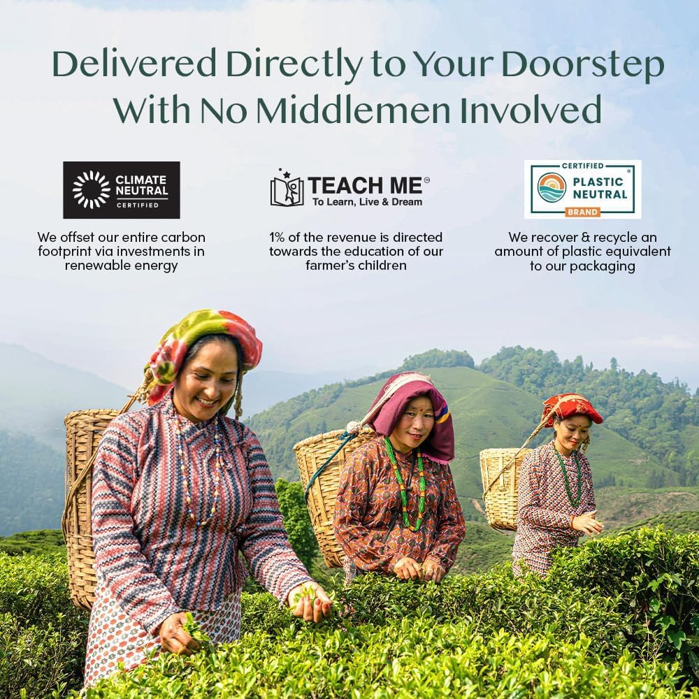 VAHDAM, Turmeric Spice Herbal Tea Bags (30 Count) Caffeine Free, Non GMO, Gluten Free - 100% Pure Herbal Tisane - Savory &amp; Spicy - Individually Wrapped Pyramid Tea Bags