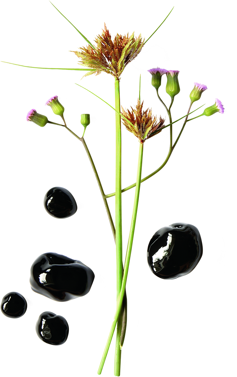 Uricare (Capsules 120)