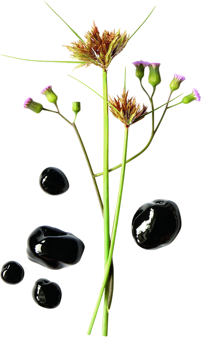 Uricare (Capsules 120)