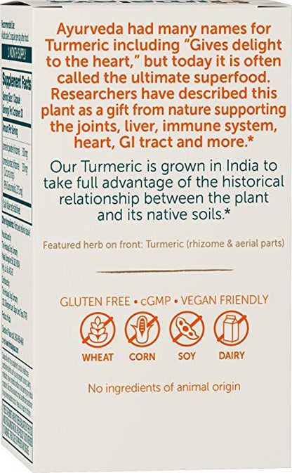 Turmeric 95 (30 Caps)